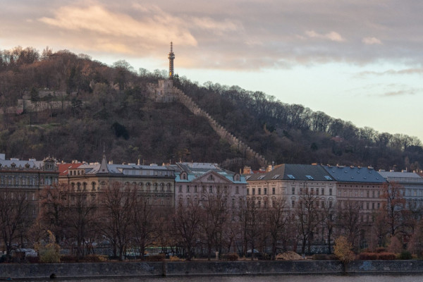 Obrázek