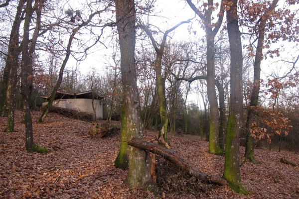 Obrázek