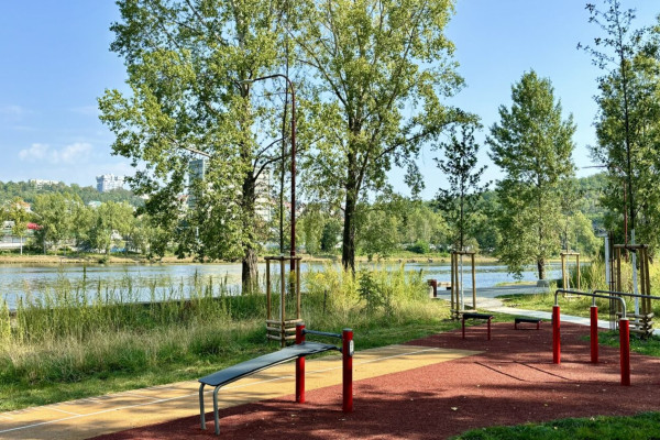 Obrázek