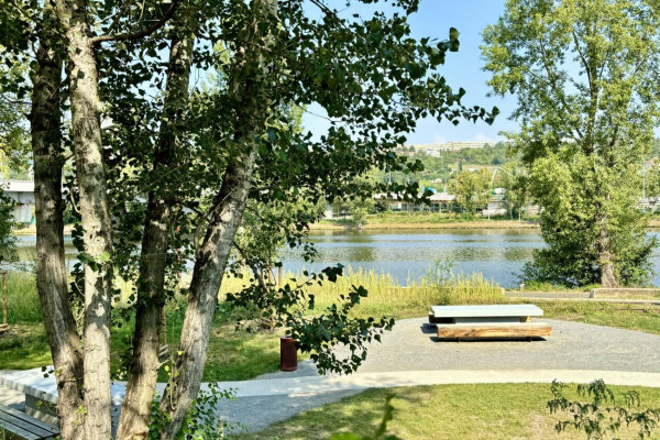 Obrázek