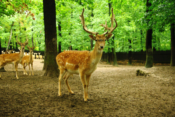 ZOOkoutek Malá Chuchle